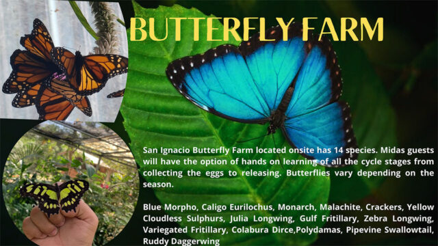 Image Link to Butterfly Farm Brochure
